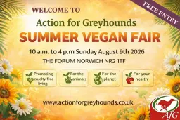 Norwich Summer Vegan Fair