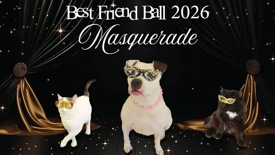 Best Friend Ball 2026