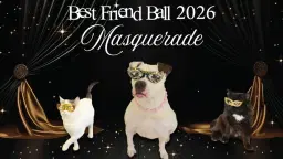 Best Friend Ball 2026