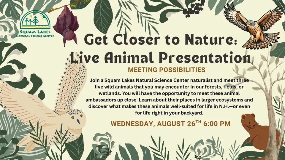 Get Closer to Nature: Live Animals of NH Wildlife