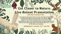 Get Closer to Nature: Live Animals of NH Wildlife