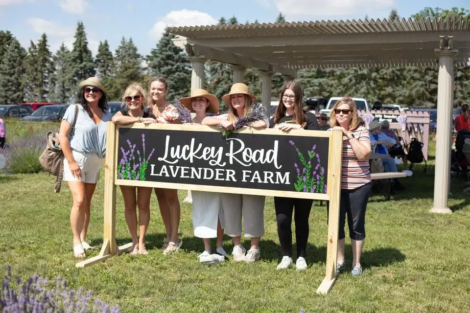 Opening Day of Lavender Season at Luckey Road Lavender Farm