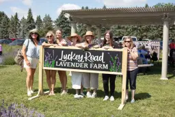 Opening Day of Lavender Season at Luckey Road Lavender Farm
