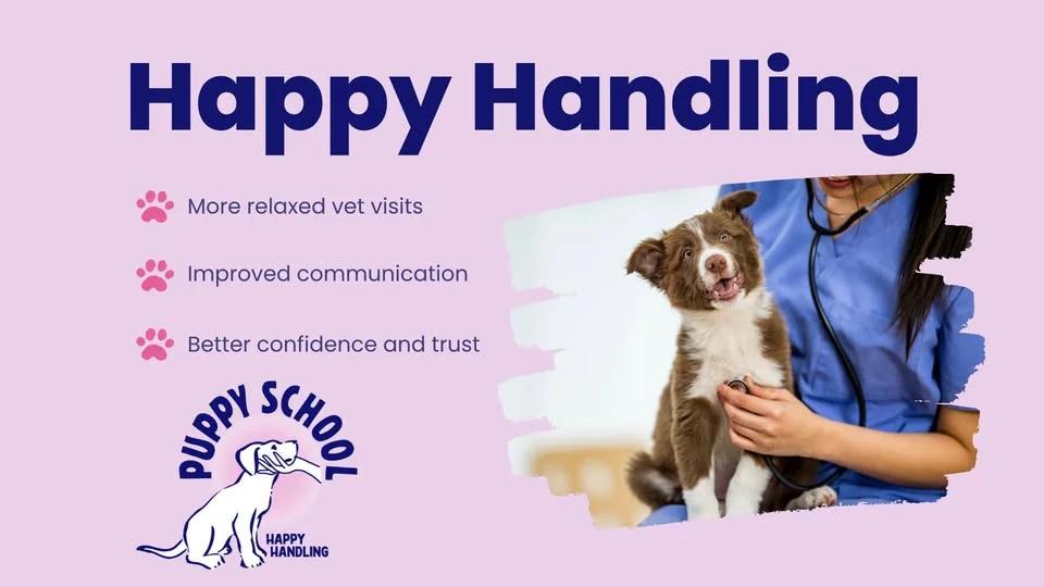Happy Handling - In-Person Course