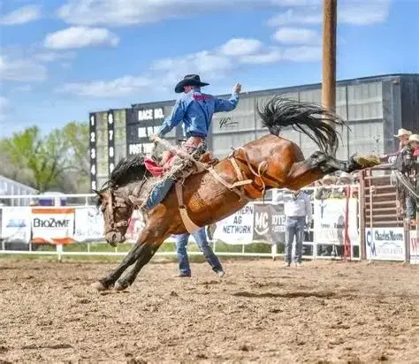 Park City PRCA Rodeo Tickets