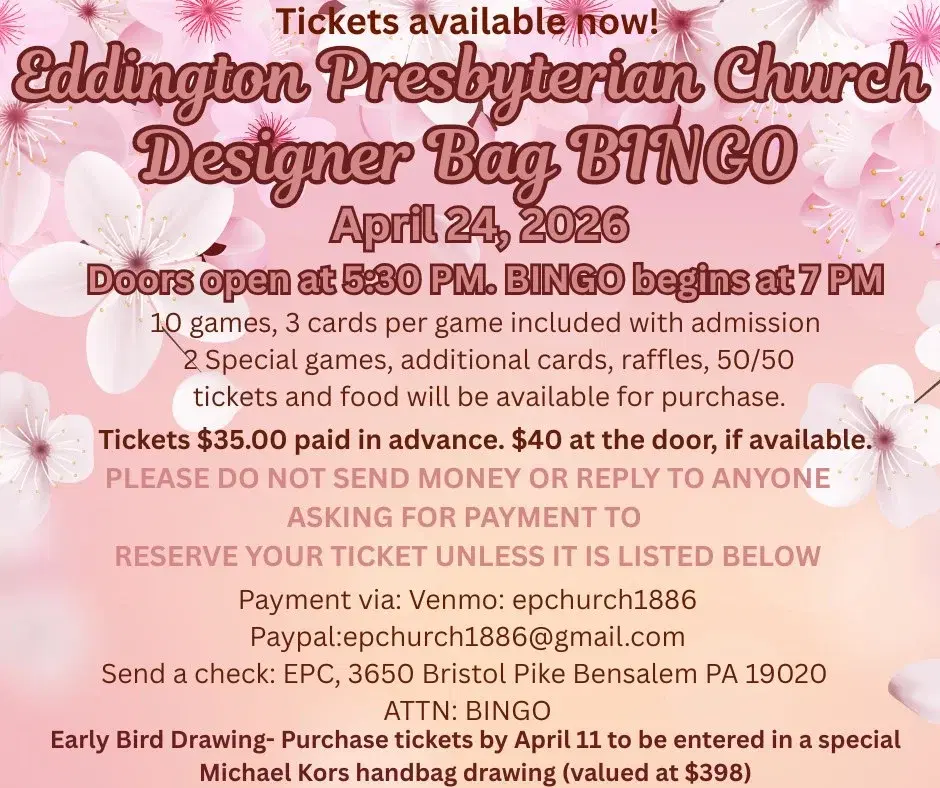 Springo Bingo