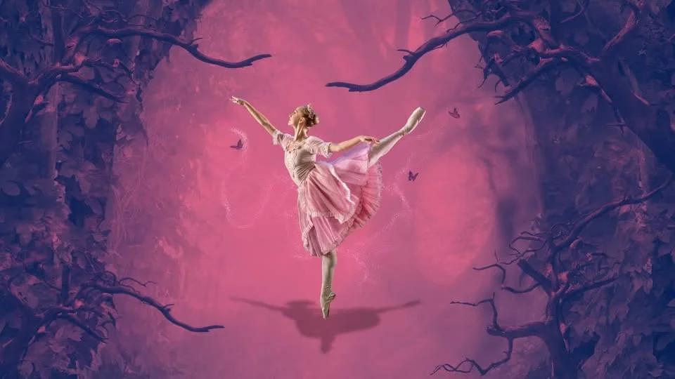 Sleeping Beauty (Ages 2-14)