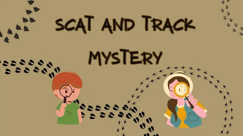 Scat and Track Mystery - Small World Program