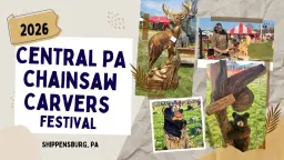 6th Annual Central PA Chainsaw Carvers Festival