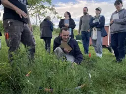 Greens Galore - Mid-Spring Foraging Walk