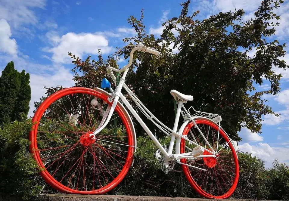 Apaj - Dömsöd - Tass ★ Gasztrokulturális kerékpártúra