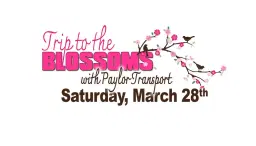 2026 Trip to the Blossoms in Wasington D.C.