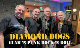 Diamond Dogs at Gunners Club, Sunderland