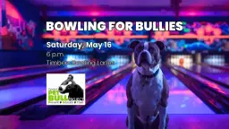 Bowling for Bullies