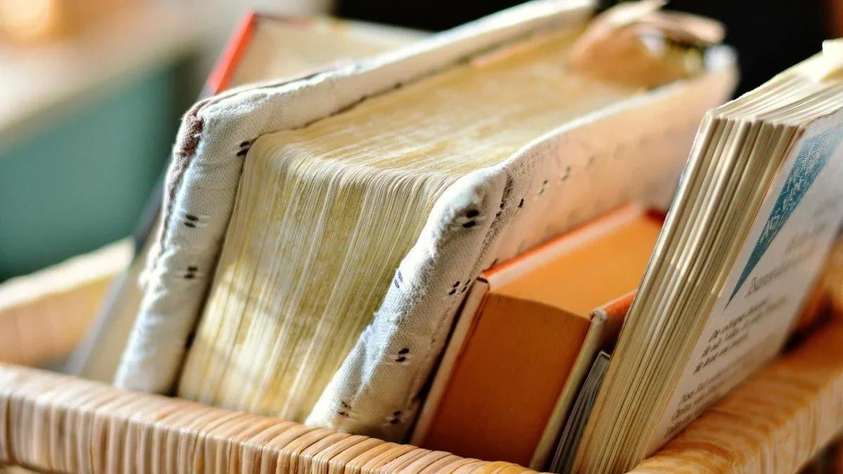 📚 Litteraturquiz i Tantolunden 🎉