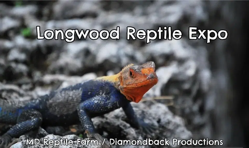 Longwood Reptile Expo - Diamondback Productions