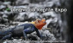Longwood Reptile Expo - Diamondback Productions