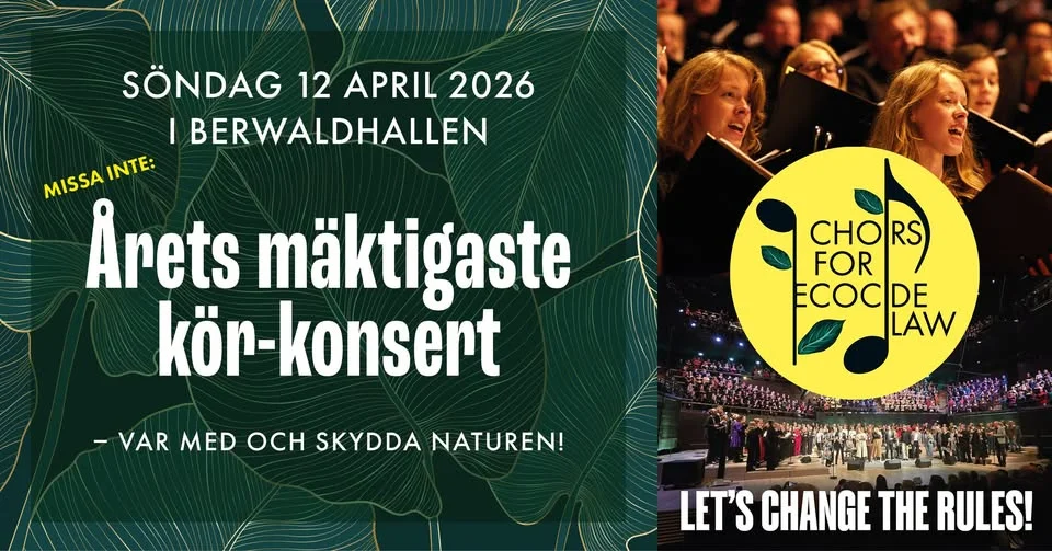 Let's Change The Rules!