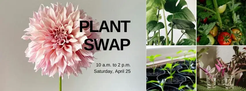 Plant Swap