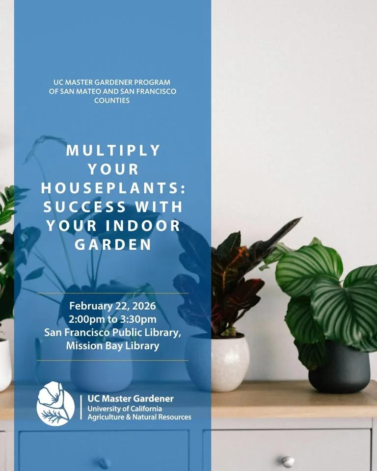 Multiply Your Houseplants: Success with Your Indoor Garden