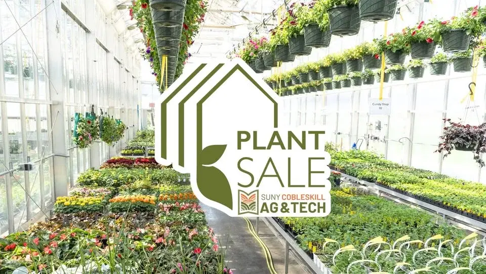 Spring Plant Sale