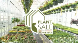 Spring Plant Sale