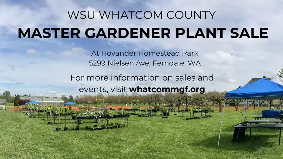 WSU Whatcom County Master Gardener Hovander Plant Sale