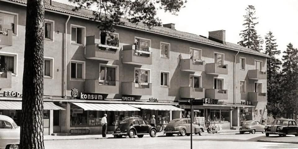 Guidad vandring i Majroskogen