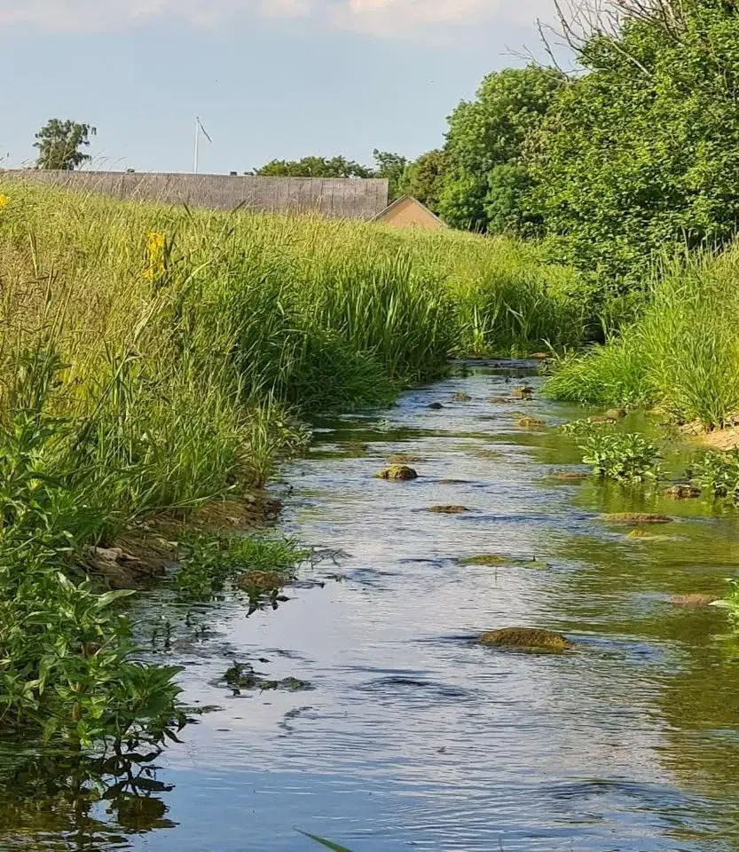 Vandring längs Ståstorpsån