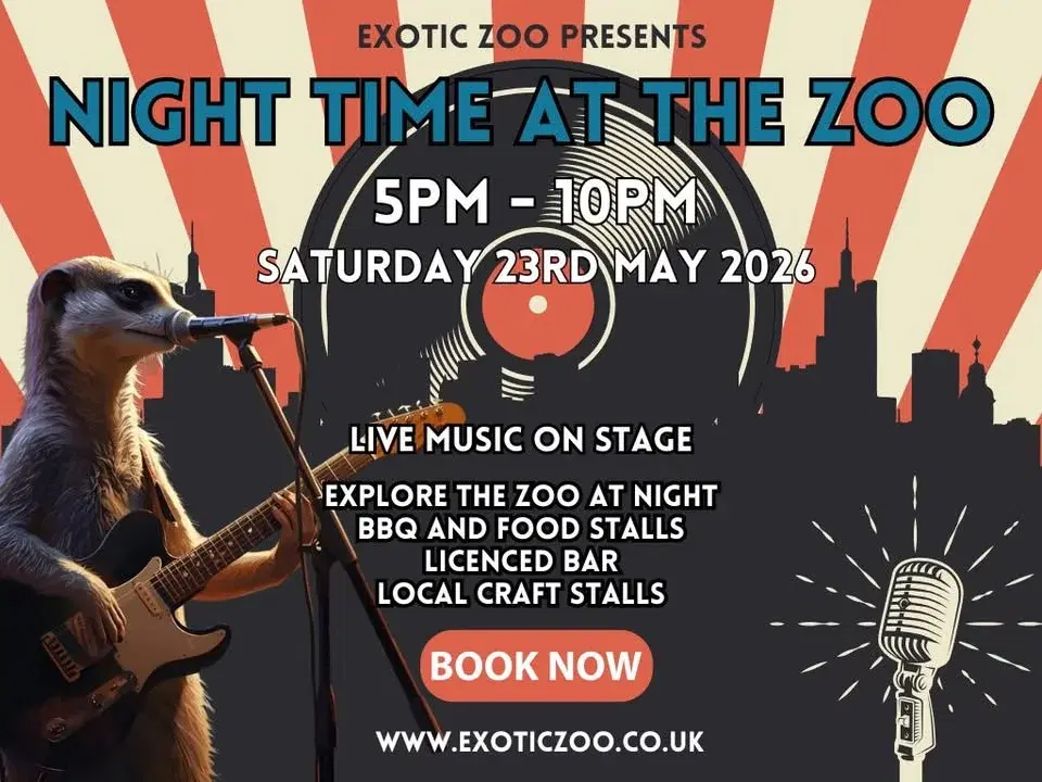 Night Time At The Zoo