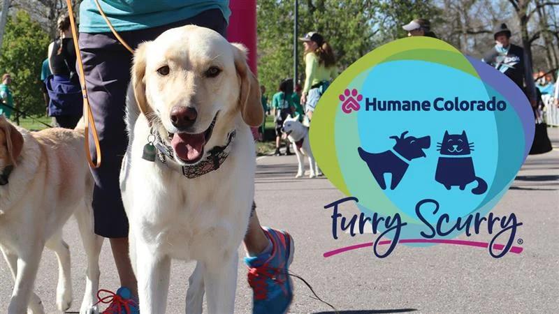 33rd Annual Furry Scurry