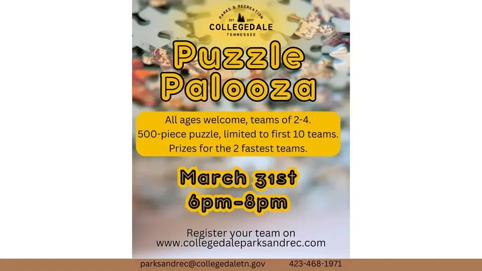 Puzzle Palooza