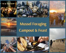 Ocean Front Camping - Muscle foraging & Feast