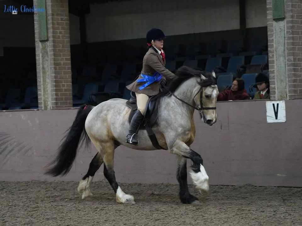 Bold Heath Summer Show - 14th June 2026