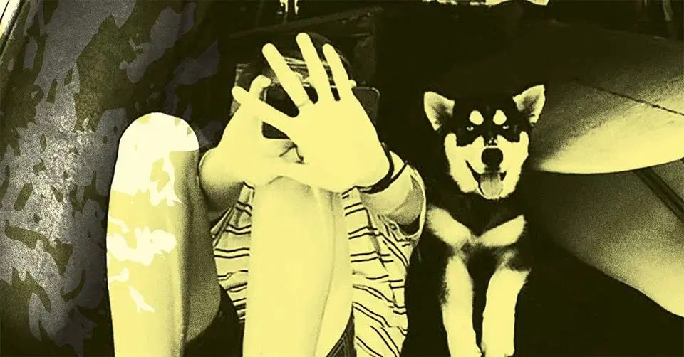 Throwing Muses (18+)