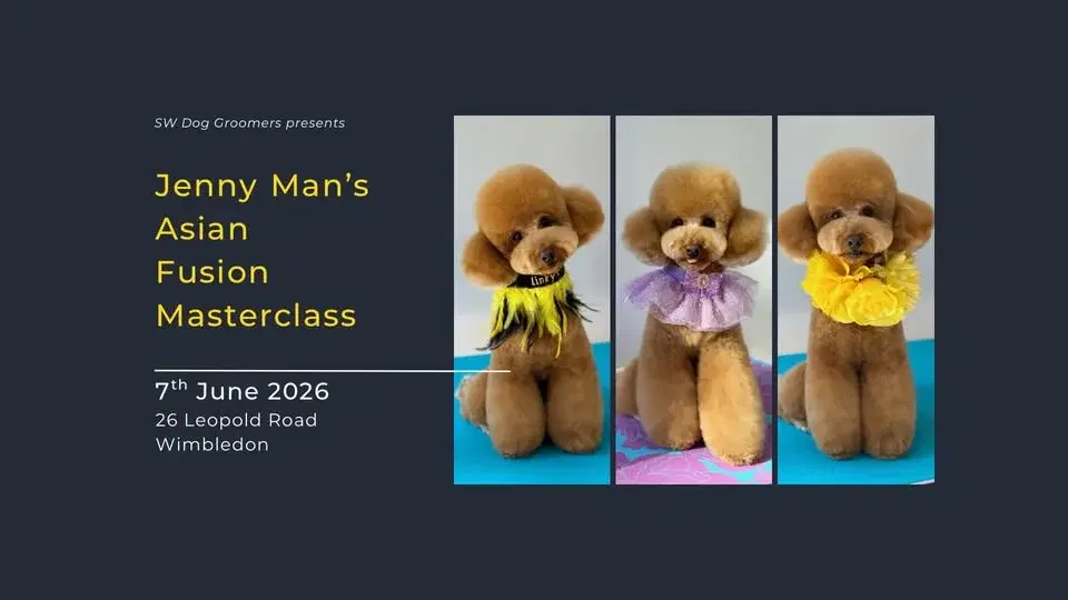 Linky’s Asian Styling Masterclass