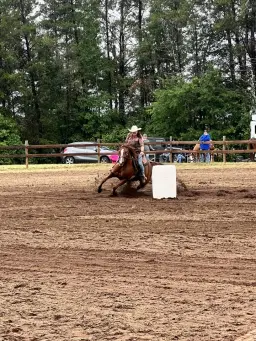 Wild Rivers Saddle Club WSCA Open Game Show