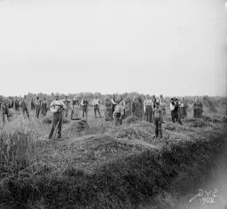 Mjölk, maskiner och människor – Visning av museerna i Valla Gård