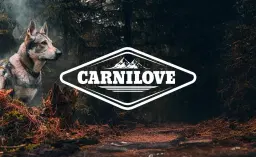 Dogrun Benecko - canicross