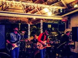 The Walk on Wednesday presents The BeachDogs