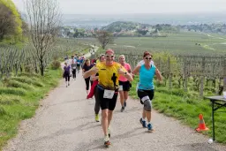 Weinberglauf Perchtoldsdorf