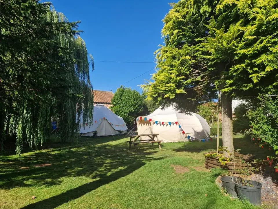 July Serenity on the Water: A Paddle Boarding Relaxation Trip