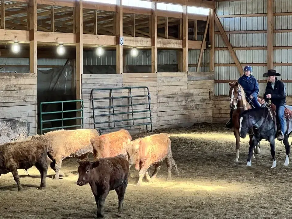 Intro to Cattle Mini-Clinic: July 2026