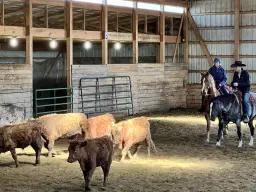 Intro to Cattle Mini-Clinic: July 2026