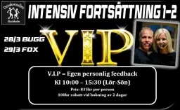 V.I.P Intensiv Fortsättning Bugg & Fox med Danskonsulten / 28-29 Mars / Epic Studios
