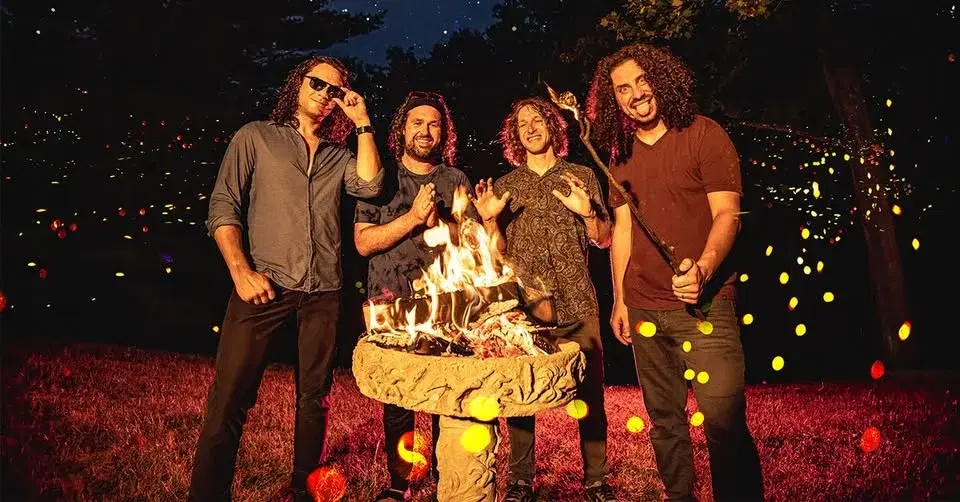 Pigeons Playing Ping Pong