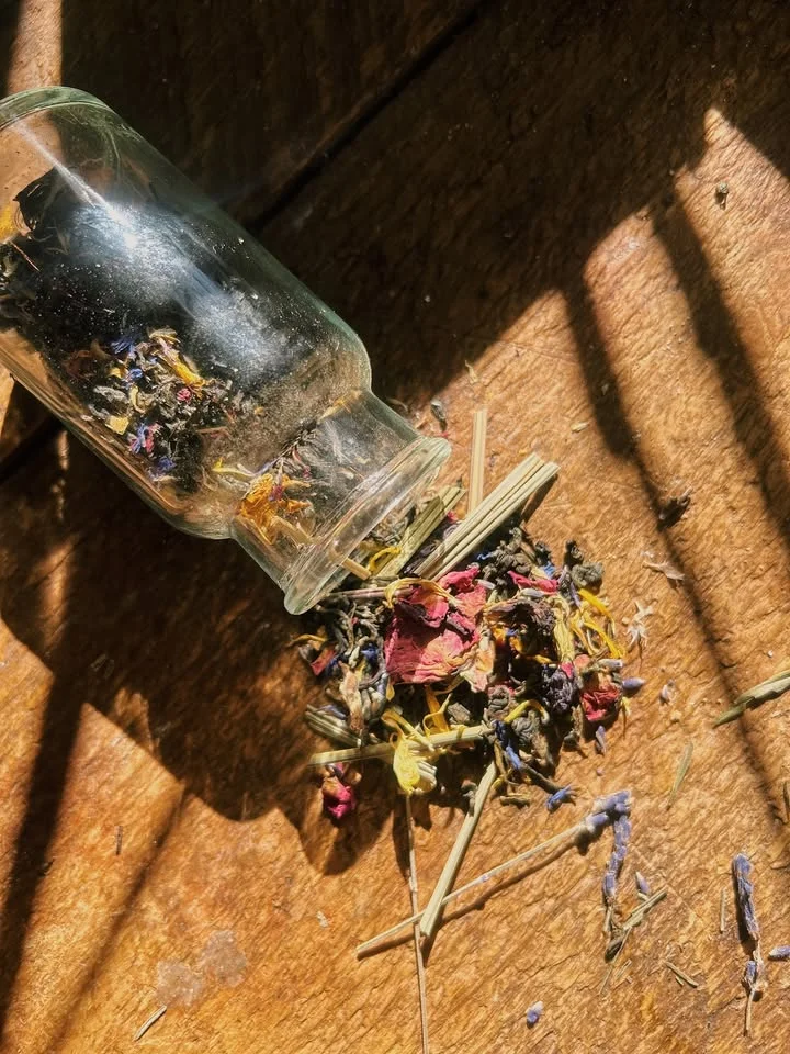 The Tea on Tea Workshop