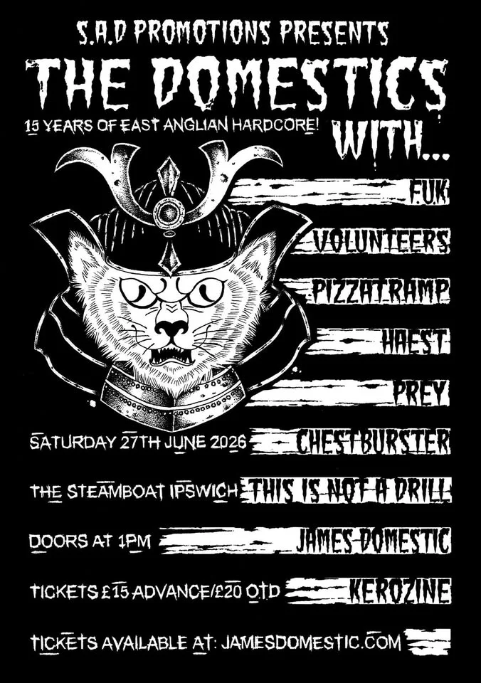 15 YEARS OF THE DOMESTICS