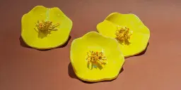 Keramik - Kortkurs på dagtid för vuxna med start den 30 mars