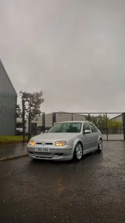 The return of movieland #2 😎☀️